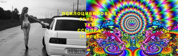 прущая мука Балахна